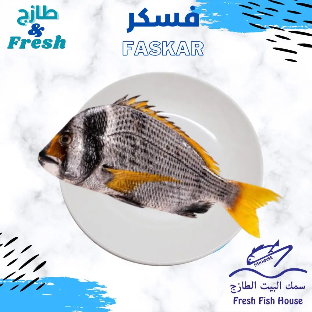 Faskar Fish Meal